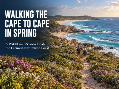 Walking the Cape to Cape in Spring: A Wildflower Guide